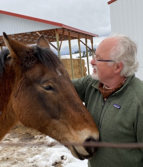 horse nuzzling author in front of farm buildings